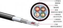 壁厚绝缘总屏蔽机车车辆电缆