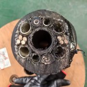 井下矿采脐带电缆